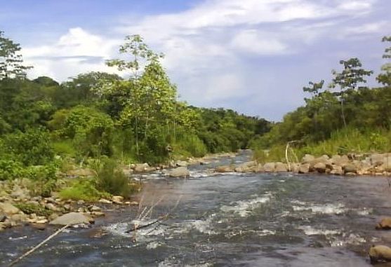 006 Uvita River 3rd Jul 2011.jpg